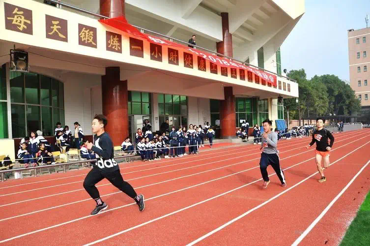 什么网球拍更好用耐打耐磨
